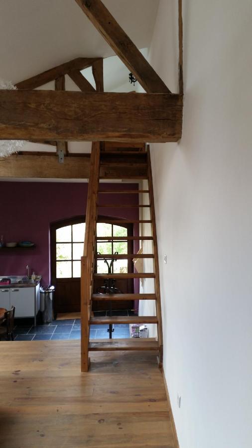Le Peyroutet Apartment Cazaux-Villecomtal Екстериор снимка